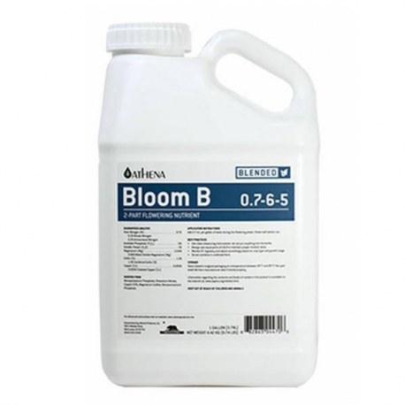 Bloom B 3.78l ATHENA ATHENA ATHENA