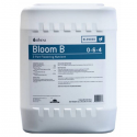 Bloom B 18.92l ATHENA