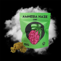 Flores CBD Amnesia 1gr Cannabis Innovation   Flores CBD