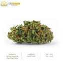 Flores CBD Silver Haze 10gr CBD Selecto