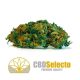 Flores CBD Zkittlez 50gr CBD Selecto CBD Selecto Flores CBD