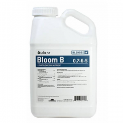 Bloom B 0.94l ATHENA ATHENA ATHENA