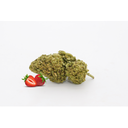 Flores HHC Boom Strawberry 10gr Cannabis Innovation   Flores CBD