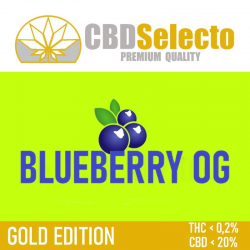 Flores CBD Blueberry OG 20gr CBD Selecto CBD Selecto Flores CBD