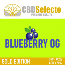 Flores CBD Blueberry OG 50gr CBD Selecto CBD Selecto Flores CBD
