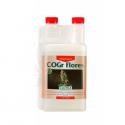 COGR Flores B 1 LT Canna