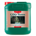 COGR Flores B 5 LT Canna