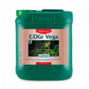 COGR Vega B 5 LT Canna 