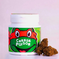 Flores CBD Cheese Poison 3gr Bee products Bee Products Flores CBD