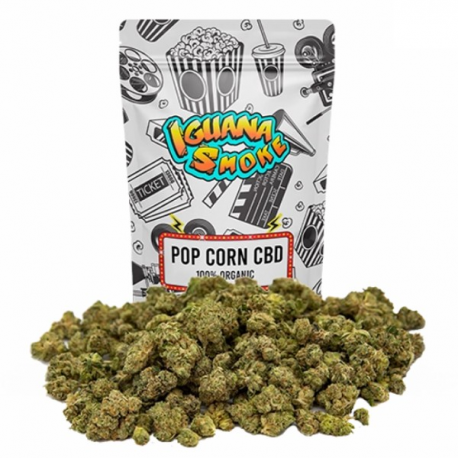 Flores CBD Popcorn Sour Tsunami 25gr Iguana Smoke Iguana CBD Flores CBD