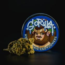 Flores HHC + CBD Gorilla Indoor Hidropónica 3gr Cannabis Innovation   Flores CBD