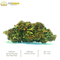 Flores CBD Tropical Punch 10gr CBD Selecto