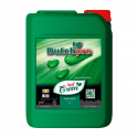 Leaf Green 5l Dutch Pro