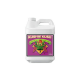 Kushie Kush 500ml Advanced Nutrients ADVANCED NUTRIENTS ADVANCED NUTRIENTS