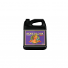 Sensi Bloom B 500ml Advanced Nutrients
