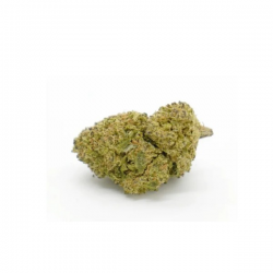 Flores CBD Harlequin indoor 10gr Cannabis Innovation   Flores CBD