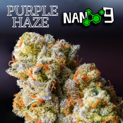 Flores CBD 12% + Nano 9 Purple Haze 2gr Cannabis Innovation  Flores CBD