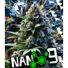 Flores CBD + NANO 9 Boom 3gr Cannabis Innovation