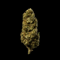 Flores CBD Mimosa 25gr Efecto CBD