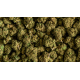 Flores CBD Silver Haze 10gr Efecto CBD Efecto CBD Flores CBD
