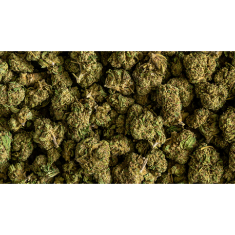 Flores CBD Silver Haze 10gr Efecto CBD Efecto CBD Flores CBD