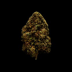 Flores CBD Huracan 50gr Efecto CBD Efecto CBD Flores CBD