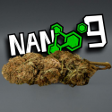 Flores NANO 9 Harlequin 77% 3gr Cannabis Innovation