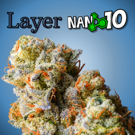 Flores NANO 10 al 75% Layer 2gr Cannabis Innovation  Flores CBD