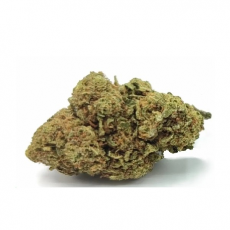 Flores CBD Mango Haze Indoor 20gr CBD Selecto CBD Selecto Flores CBD