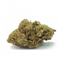 Flores CBD Mango Haze Indoor 20gr CBD Selecto