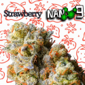 Flores NANO 9 al 65% Strawberry 10gr Cannabis Innovation