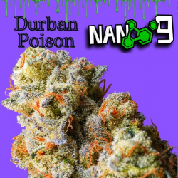 Flores NANO 9 al 75% Durban 10gr Cannabis Innovation  Flores CBD