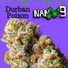 Flores NANO 9 al 75% Durban 10gr Cannabis Innovation
