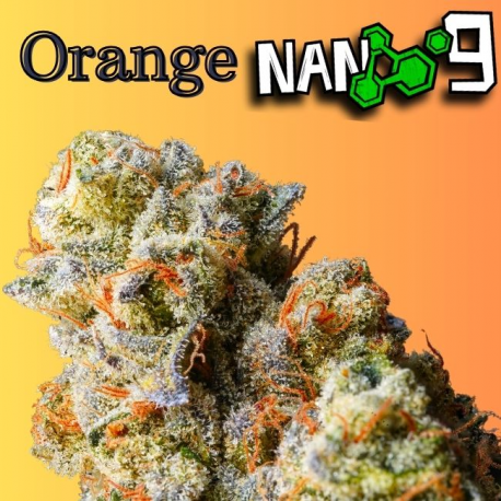 Flores NANO 9 al 82% Cali Orange 3gr Cannabis Innovation  Flores CBD