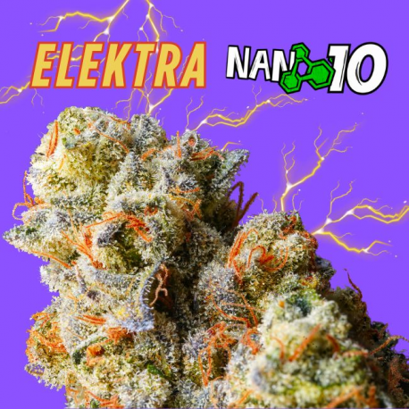 Flores NANO 10 al 77% Elektra 5gr Cannabis Innovation  Flores CBD