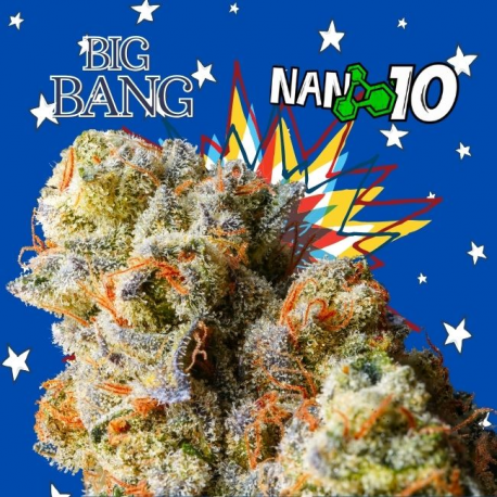 Flores NANO 10 al 65% Big Bang 10gr Cannabis Innovation  Flores CBD
