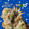 Flores NANO 10 al 65% Big Bang 10gr Cannabis Innovation