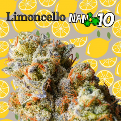 Flores NANO 10 al 56% Limoncello 2gr Cannabis Innovation  Flores CBD