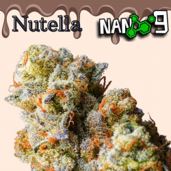 Flor Nano 9 x Nutella CBD al 64% 3gr Cannabis Innovation  Flores CBD
