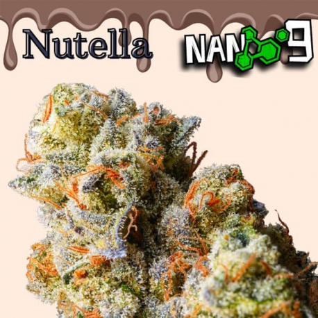 Flor Nano 9 x Nutella CBD al 64% 3gr Cannabis Innovation  Flores CBD