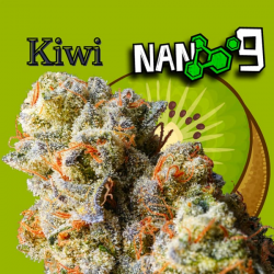 Flor Nano 9 x Kiwi CBD al 89% 2gr Cannabis Innovation  Flores CBD