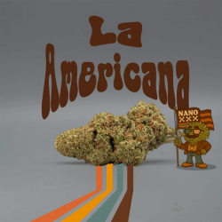 Flor Nano La Americana x NanoXXX al 75% 10gr Cannabis Innovation  Flores CBD