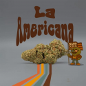 Flor Nano La Americana x NanoXXX al 75% 10gr Cannabis Innovation