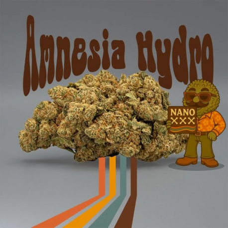Flor Nano Amnesia Hydro x NanoXXX al 90% 2gr Cannabis Innovation  Flores CBD
