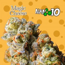 Flores NANO 10 al 55% Magic Cheese 2gr Cannabis Innovation  Flores CBD