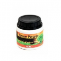 Grow Power  500gr VDL