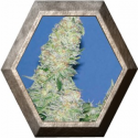 Mota Khan Afghana 3 semillas Elite Seeds