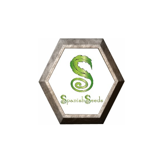 Auto AK 50 semillas Spanish Seeds SPANISH SEEDS SPANISH SEEDS