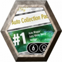 Auto Collection Pack 1 Paradise Seeds
