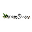 VENENO SEEDS